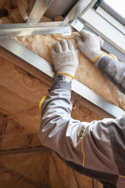Best Cellulose Insulation in Robesonia, PA