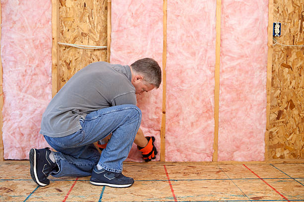 Best Insulation Maintenance and Repair in Robesonia, PA